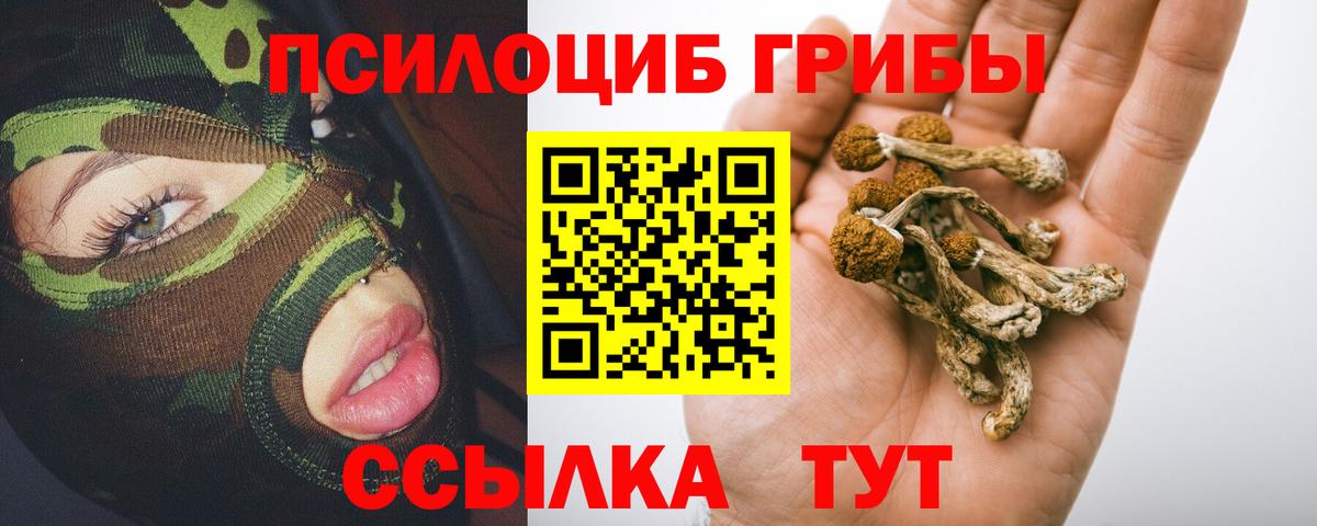 цены наркотик  Вход с VPN  Мелеуз  Псилоцибиновые грибы MAGIC MUSHROOMS  Псилоцибиновые грибы Magic Shrooms 